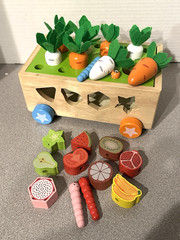 Montessori Wooden Easter Garden Vegetable Carrots Fruit Worms Sorting Wagon