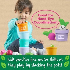Hide & Seek Vegetable Garden: Educational Baby Learning Toys