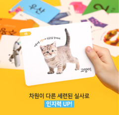 Pinkfong Flash Cards 120 Korean Language Learning Words Toddler Kid Play Toy