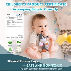 Easter Bunny Musical Toy for 1 +Year Old, Baby Crawling Toys 6 to 12 Months,…
