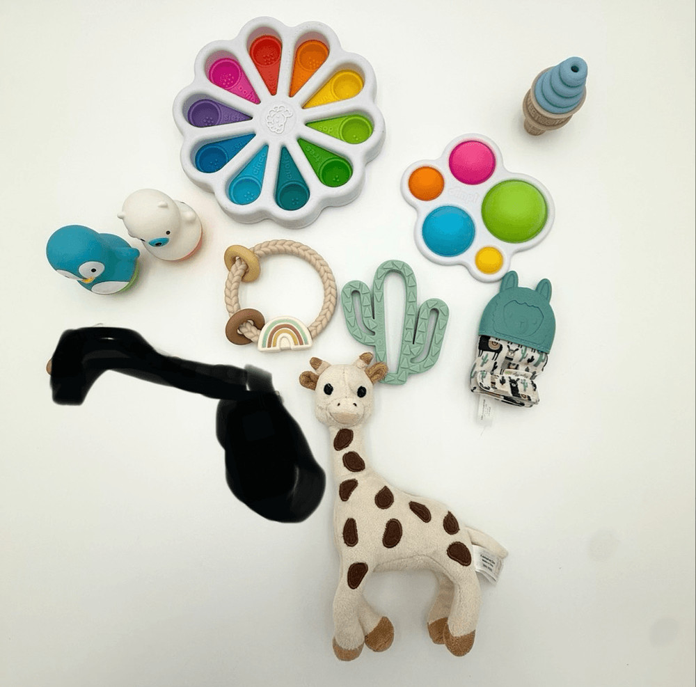 Fat Brain Toys Itzy Ritzy Sweetooth Vulli Lot of Infant Developmental Toys – All