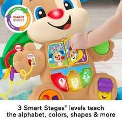 Multicolor Musical Electronic Learning Toy Walker for Infants and Toddlers
