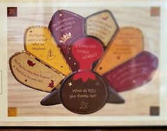Gund Kids Wooden Turkey Peg Puzzle Preschool Kindergarten 2-sided w/ Fun Facts