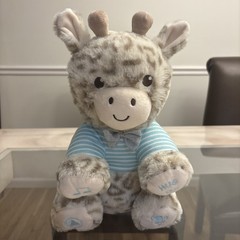Dreamgro Record & Play Plush Giraffe Soother – Tested Working Playback Music