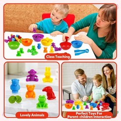 Colorful Fine Motor Skills Sorting Toys – Perfect Gift for Toddlers 3-6