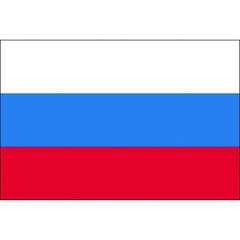 Tokyo Flag Tabletop Flag 16 x 24 cm Russia 406871from JP