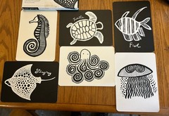 Wee Gallery Art Cards For Baby SEA Collection High Contrast Animal Pictures