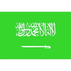 Tokyo Flag Tabletop Flag 16x24cm Saudi Arabia 406302from JP