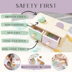 Montessori 2-in-1 Shape Sorter & Stacking Toy for Toddlers (1-3 Years)