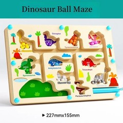 Montessori Wooden Color Sorting Toy Fine Motor Skills Educational Toddler Learni