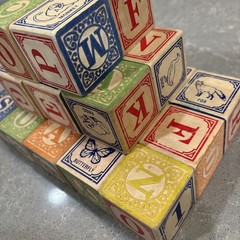 Wood Learning Alphabet Animal Children’s Building Blocks
