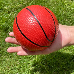 Toddler Balls, Indoor and Outdoor Family Games for Kids, Garden Toys. (Pack o…
