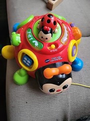 Vtech Crazy Legs Learning Bugs Ladybug Interactive Pull Toy Music Lights Up (D)