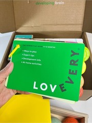 Lovevery The Thinker Play Kit 11-12 Months Wooden Peg Drop Sensory Switchboard