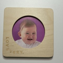 Lovevery First Puzzle The Inspector Play Kit 7-8 Months Montessori Replacement