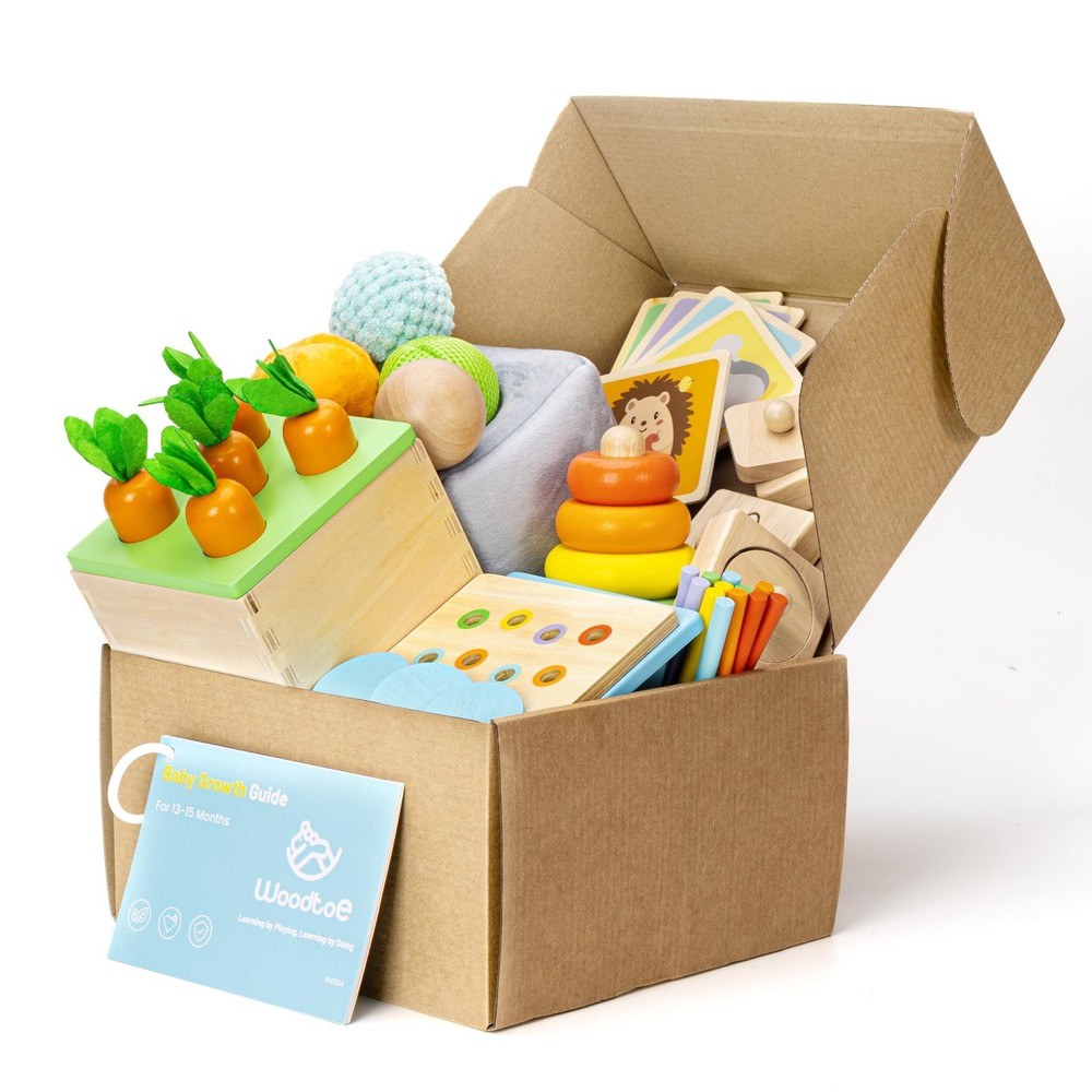 Montessori Toys for 1+ Year Old, Wooden Baby Learning Toys, Object Permanence…