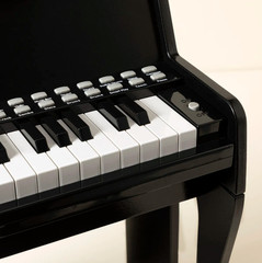 Learn with Lights Piano Kids Light Up Keyboard Music Toy