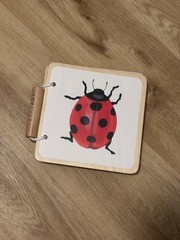 Lightly Used Lovevery Wooden Insect & Animal Board Book for Infants & Toddlers