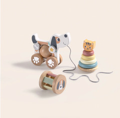Wooden Dog Pull Along Toy Cat Stacking Rings Baby Toddler Learning Toy Set