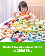 Sorting Toy for Toddlers – Animals, Dinosaurs, Fruits, Vehicles, Fine Motor Skil