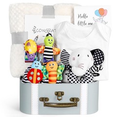 Baby Gift Set, Baby Shower Gifts, Black and White High Contrast Baby Toys 0-6…
