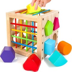 Montessori Toys for 1+ Year Old, Wooden Sorter Cube with 8Pcs Rattling Shapes, D