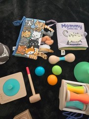 Lovevery Mixed Lot Wooden Montessori Baby Toddler Toy Bundle