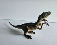 Winsenpro 5PCS Jumbo Dinosaur Set,13” Realistic Looking Dinosaur Toy Set for …