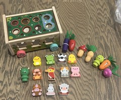 Toddler Montessori Wooden Farm Animal Shape Sorter Hand Eye Coordination