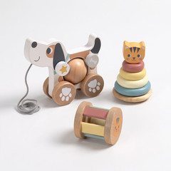 Wooden Dog Pull Along Toy Cat Stacking Rings Baby Toddler Learning Toy Set