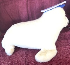 Navy Hat Seal Dress Sea Dog Phoca Vitulina Lions Ocean Cartoon Animal Marine