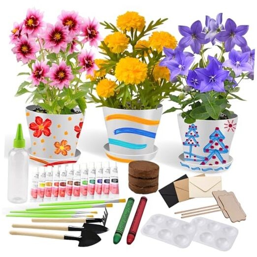 Paint & Plant Children’s Gardening Kit for Girls Boys Toys Garden Flower