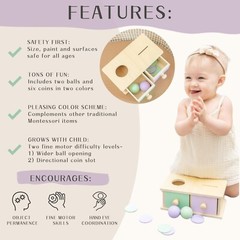 Montessori Wooden Shape Sorter & Stacking Toy for Toddler Development (1-3 Years