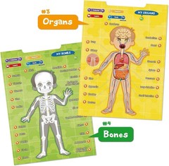 Interactive Educational Anatomy Toy – i-Poster My Body for Kids Ages 5-12