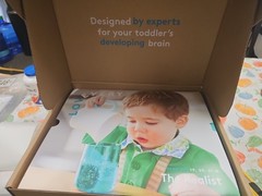 Lovevery The Realist Play Kit For 19, 20, 21 Months Complete Set