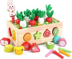 Montessori Wooden Shape Sorting Toy for 1-3 Olds