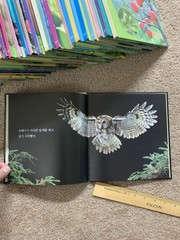 웅진다책 자연관찰 땅친구 물친구 Korean children books RANDOM 14 kid books 한국 책 한글 책 동화 어린이 14권