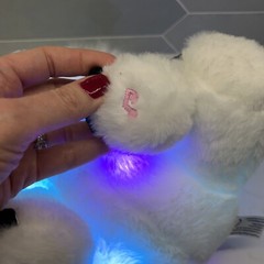 Glow Guards 10” LED Koala Stuffed Animals Light Up Musical Comforting Plush TAG