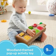 Fisher-Price Hide & Peek Pop Up Toy for 9 Months