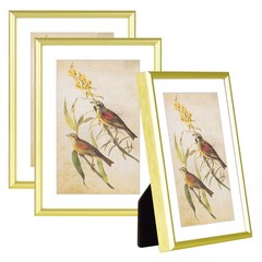 5×7-3P Picture Frame Matte Gold Brushed Thin Metal Float Photo Frame with HD …
