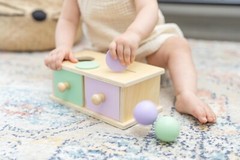 Montessori Wooden Shape Sorter Toy for 1-3 Year Old with Object Permanence Focus