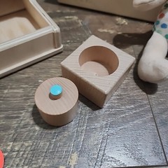 Lovevery – The Thinker Play Guide 11-12 Months Montessori Toys See Description