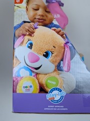 Fisher-Price FDF22 Laugh & Learn Smart Stages Sis Toy