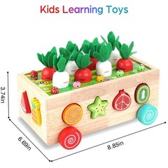 Montessori Wooden Shape Sorting Toy for 1-3 Olds