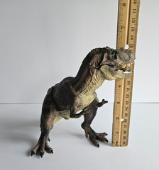 Winsenpro 5PCS Jumbo Dinosaur Set,13” Realistic Looking Dinosaur Toy Set for …