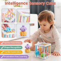 Wooden Building Blocks Shape Sorter – Baby Development