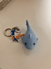 Novelty Shark-themed Accessories