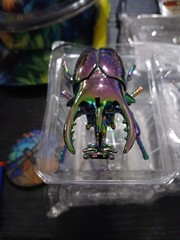 Colorful Beetle Wind Up Toys For Kids Teens. Just Wind Theme Up And Watch Them