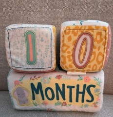 Disney Baby Bambi Thumper Milestone Soft Blocks Set Days To Weeks Months Years