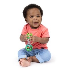 Bright Starts Oball Shaker Rattle Toy, Ages Newborn Plus